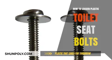 Efficiently Loosening Stuck Plastic Toilet Seat Bolts