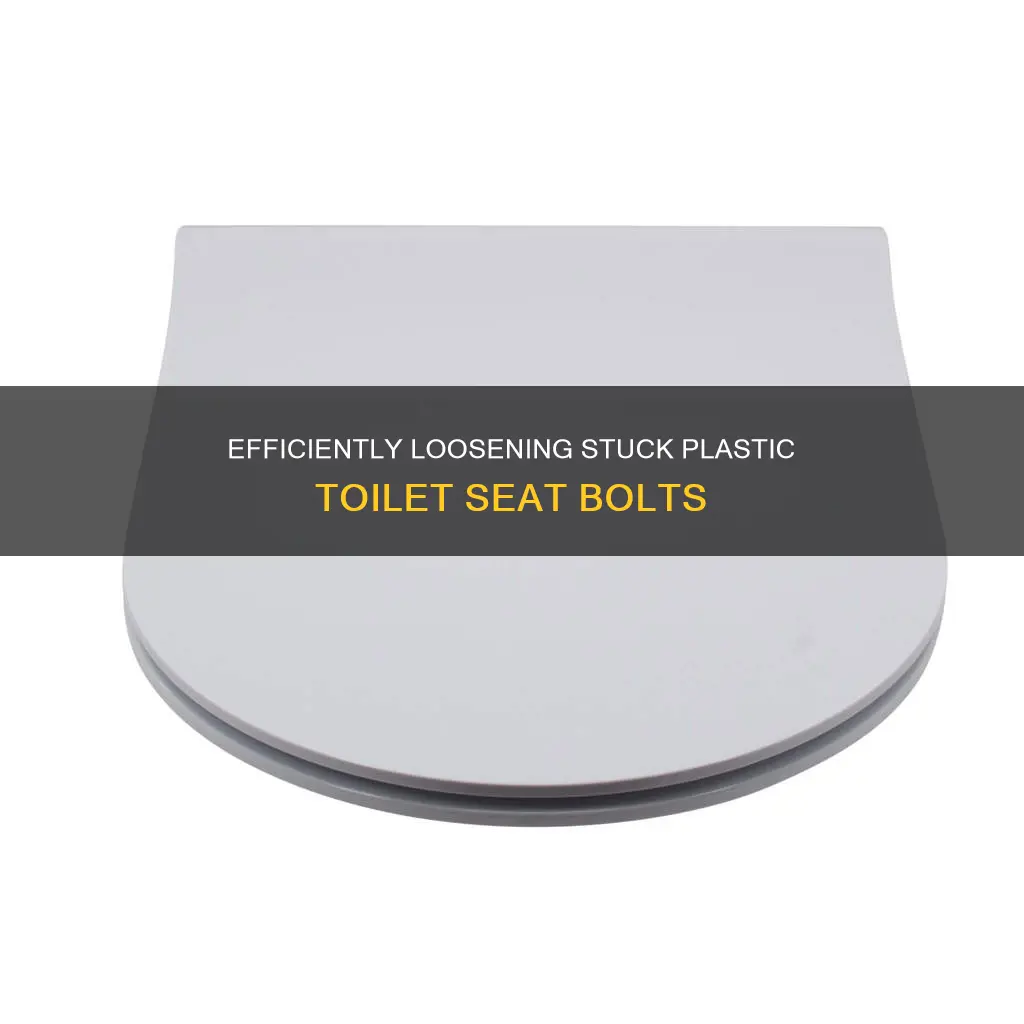 how to loosen plastic toilet seat bolts