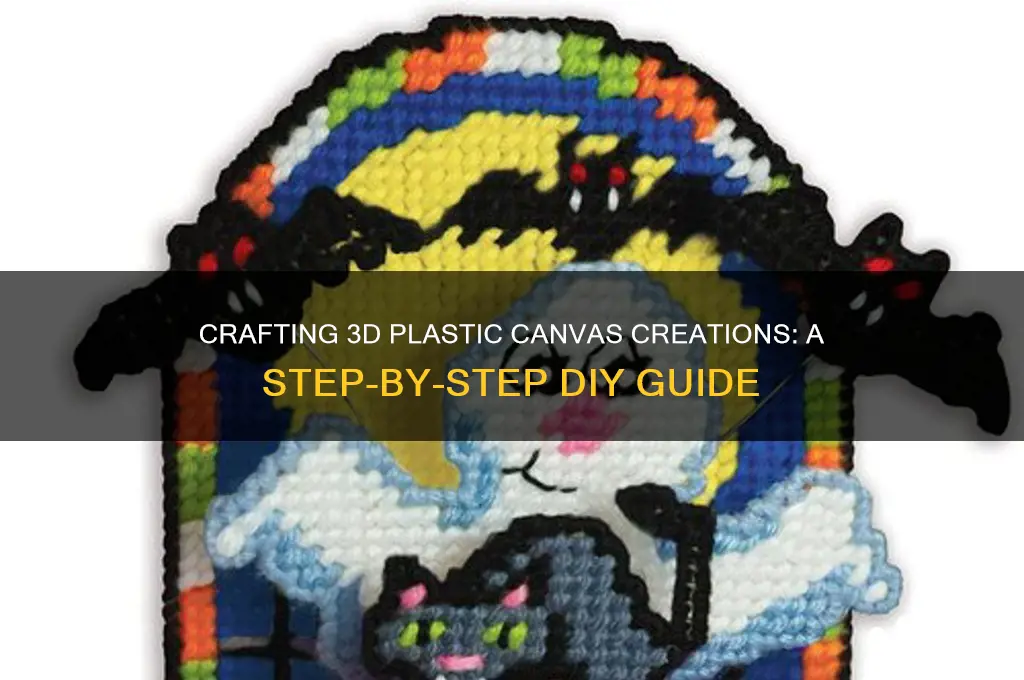 how to make a 3d plastic canvas