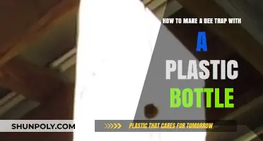 DIY Bee Trap: Simple Plastic Bottle Solution for Safe Removal