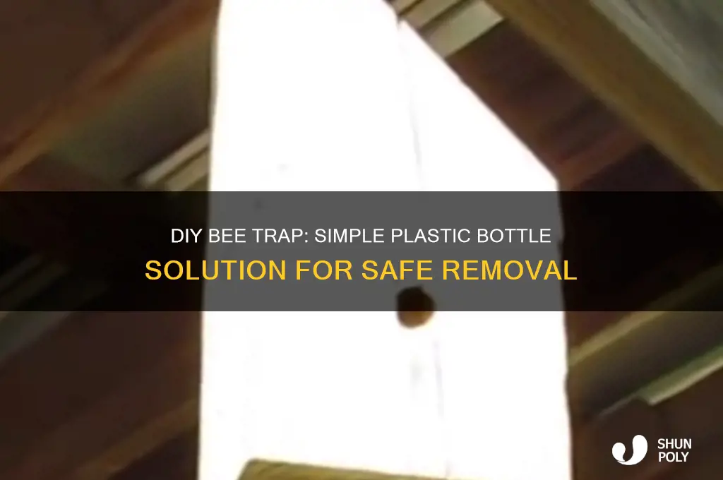 how to make a bee trap with a plastic bottle