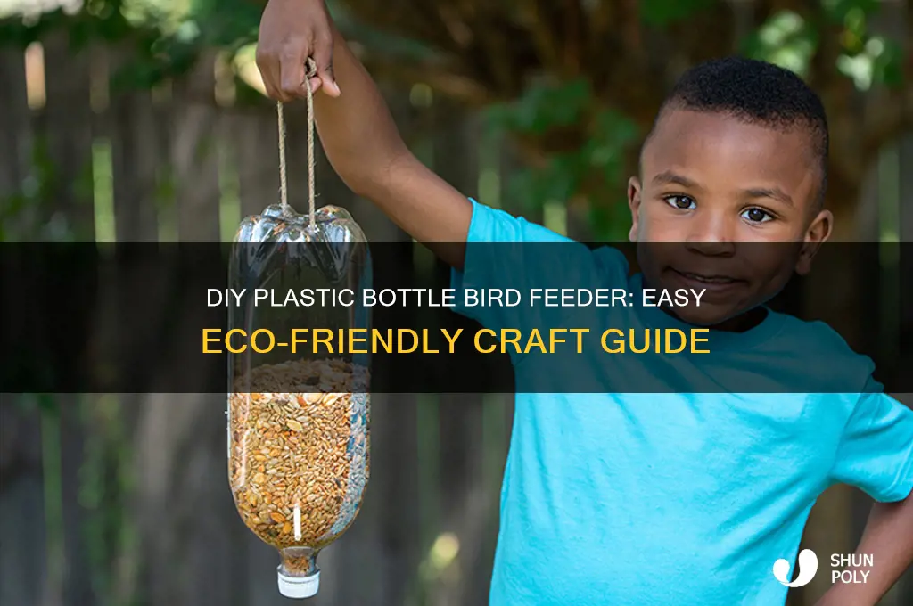 how to make a bird feeder from a plastic bottle