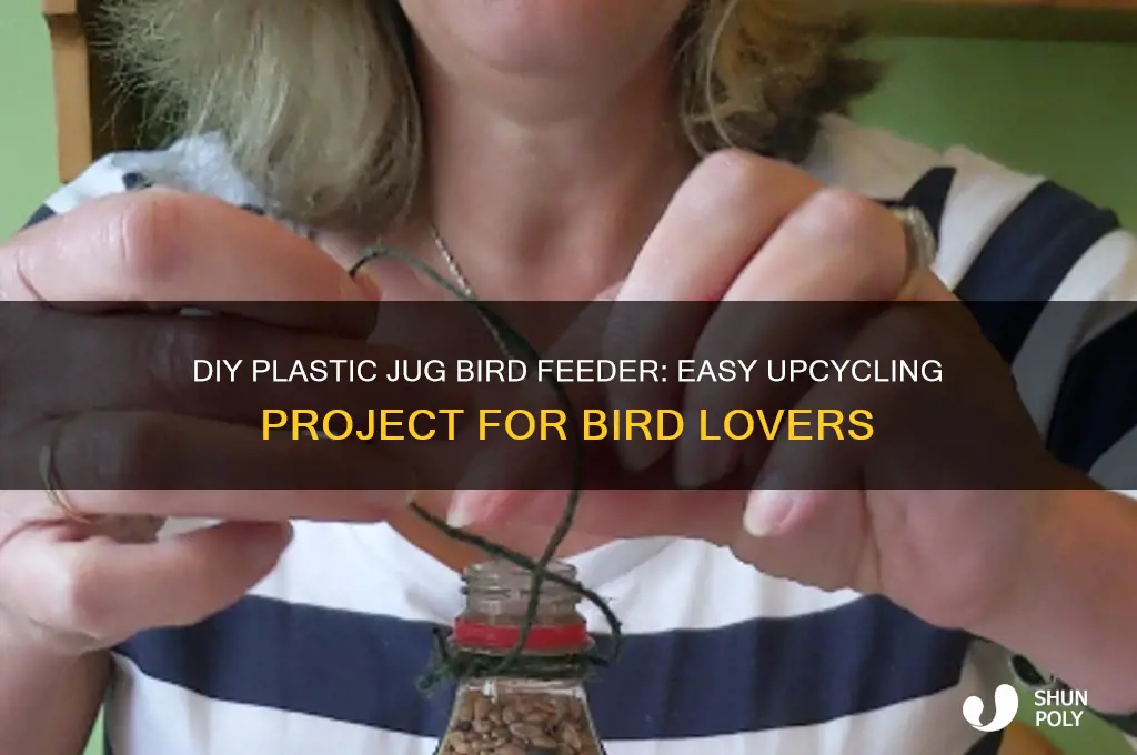 how to make a bird feeder from a plastic jug