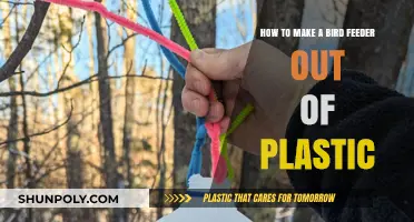 DIY Plastic Bird Feeder: Easy Steps to Attract Birds