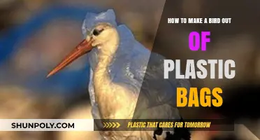 Crafting Eco-Friendly Birds: A Step-by-Step Guide Using Plastic Bags