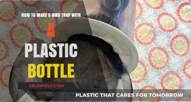 DIY Plastic Bottle Bird Trap: Simple, Humane, and Effective Method