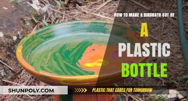 DIY Birdbath: Upcycle a Plastic Bottle for Feathered Friends
