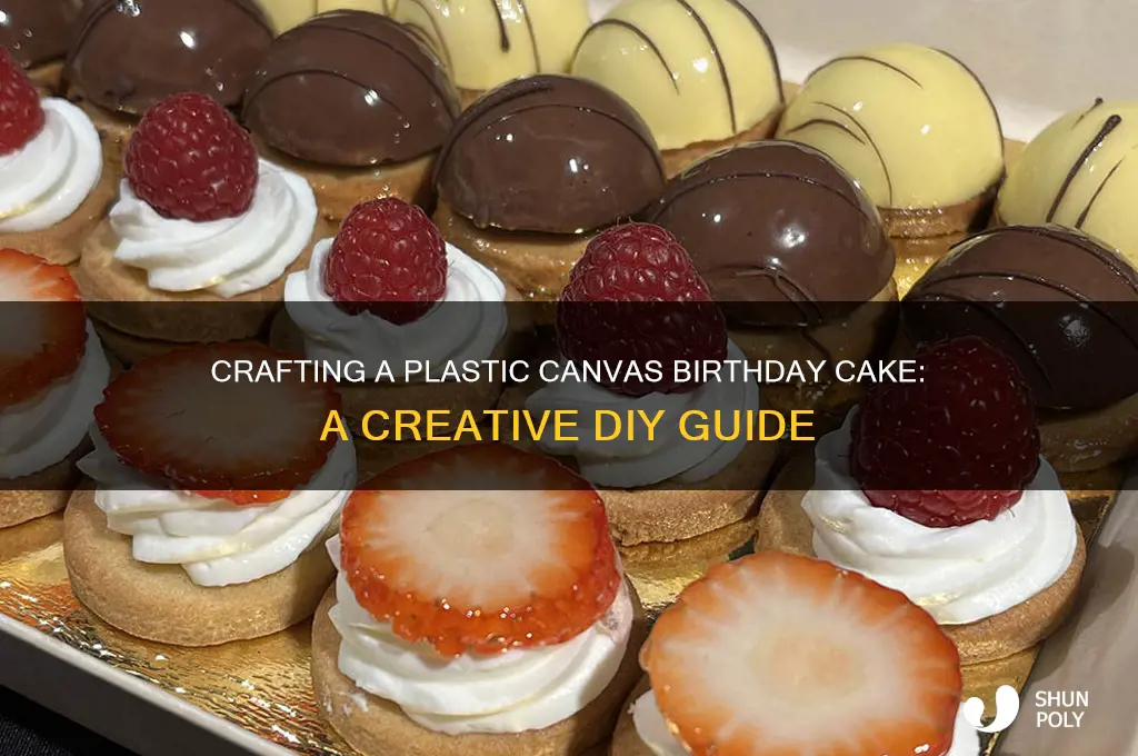how to make a birthday cake out of plastic canvas