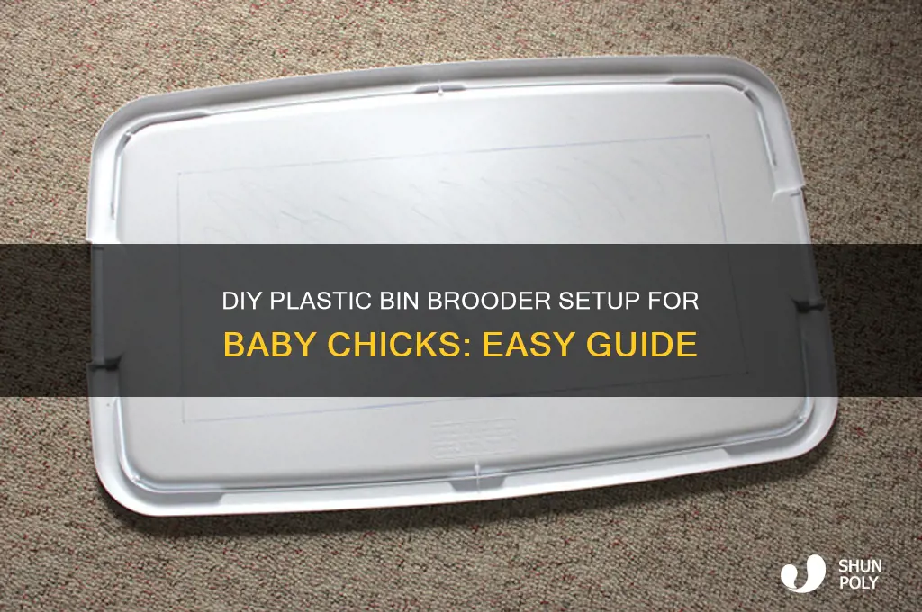 how to make a brooder from plastic bin