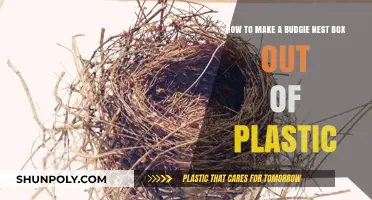 DIY Plastic Budgie Nest Box: Easy Crafting Guide for Bird Owners