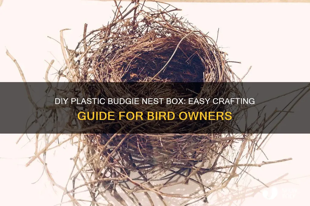 how to make a budgie nest box out of plastic
