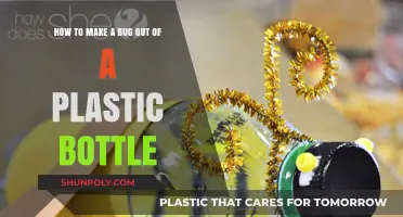 Craft a Creative Bug from Recycled Plastic Bottles Easily