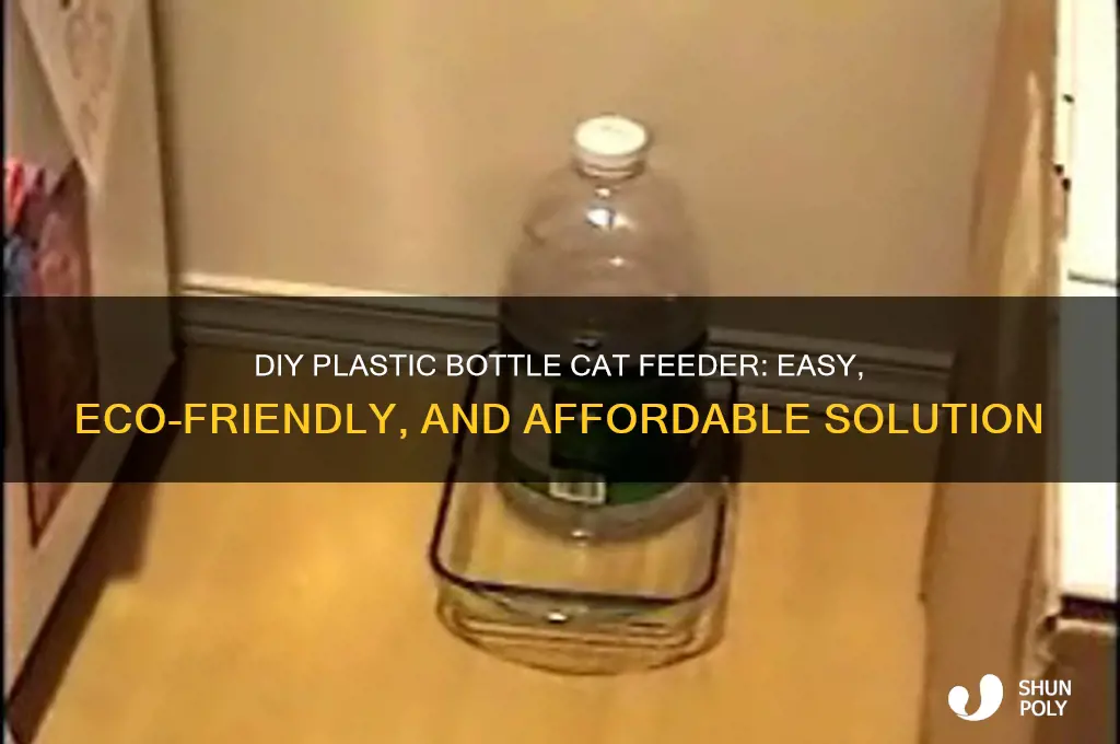 how to make a cat feeder with plastic bottle
