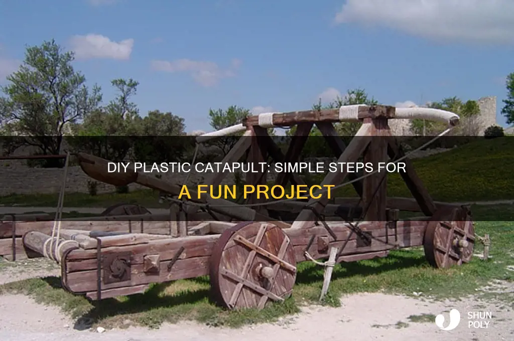 how to make a catapult from plastic