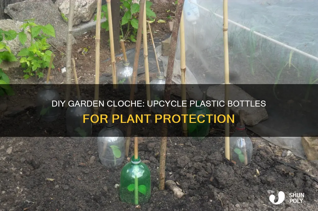 how to make a cloche from a plastic bottle