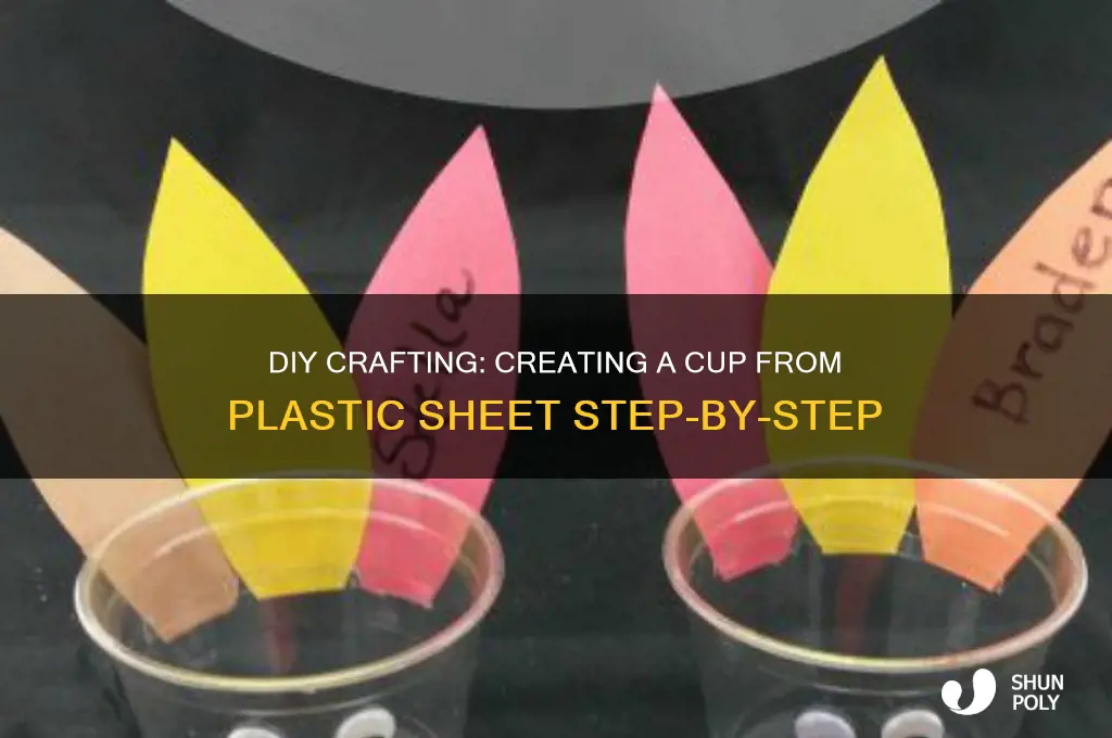 how to make a cup with plastic sheet