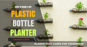 Creative DIY Plastic Bottle Planter: Easy Upcycling for Greener Spaces
