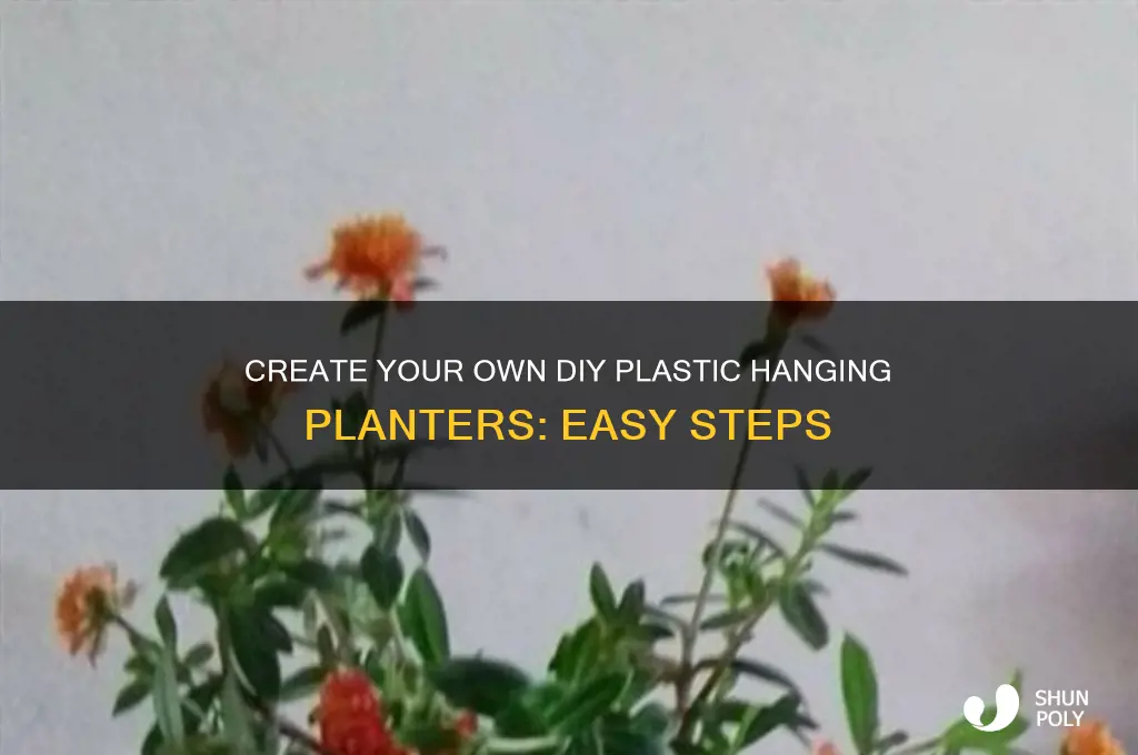 how to make a diy plastic hanging plants