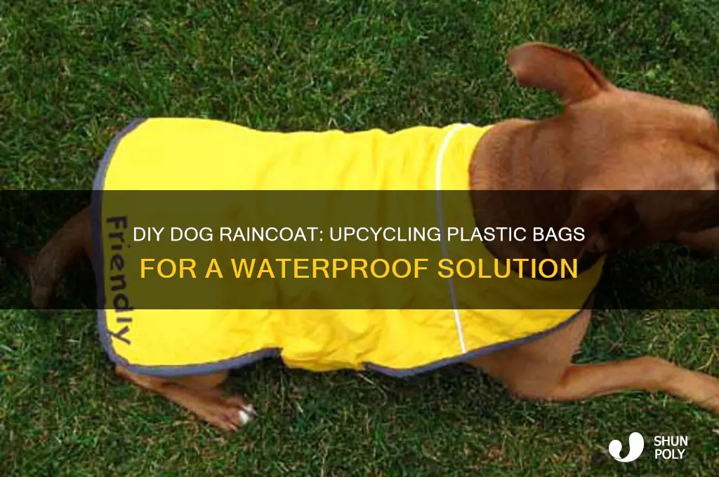 how to make a dog raincoat out of plastic bags