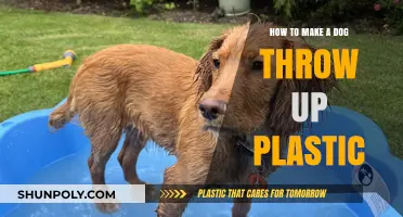 Emergency Guide: Safely Inducing Vomiting in Dogs After Plastic Ingestion