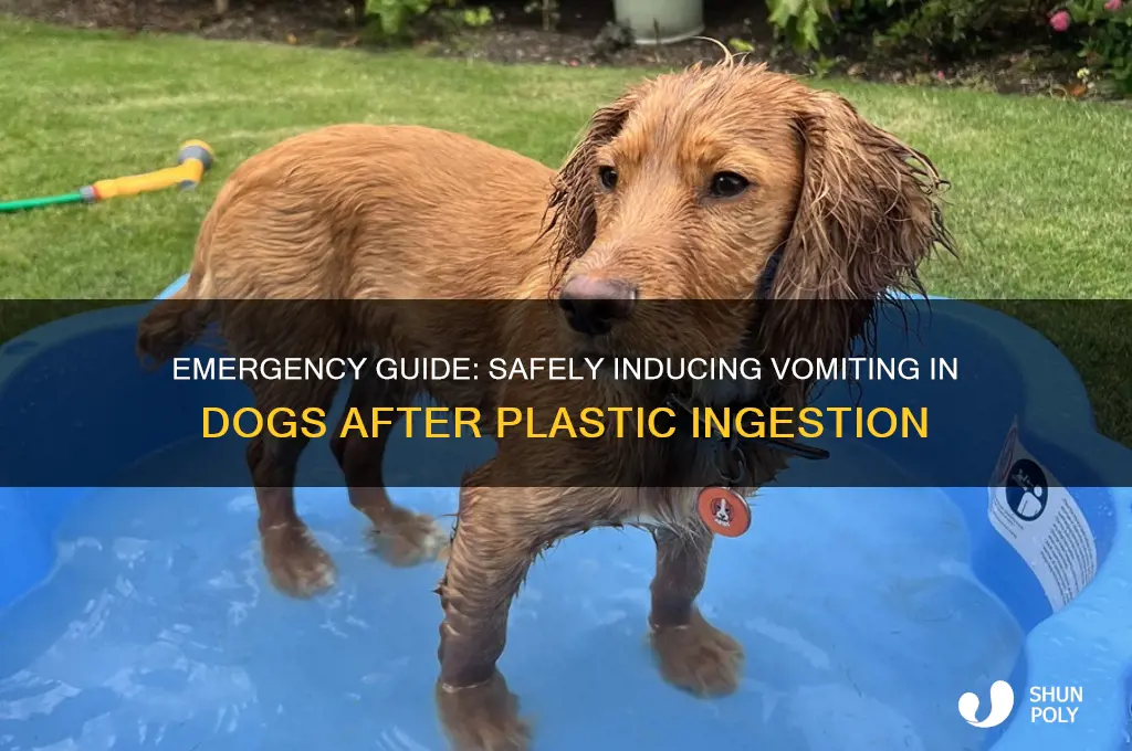 how to make a dog throw up plastic