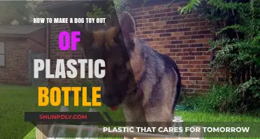 DIY Dog Toy: Upcycling Plastic Bottles for Pet Playtime Fun