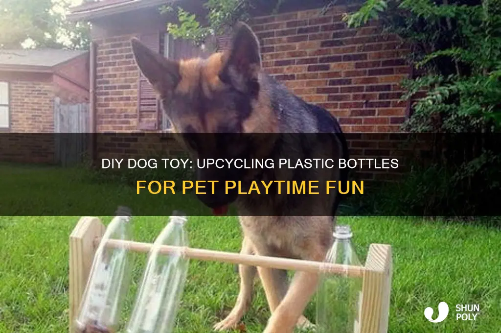 how to make a dog toy out of plastic bottle