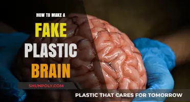 Crafting a Lifelike Fake Plastic Brain: Step-by-Step DIY Guide