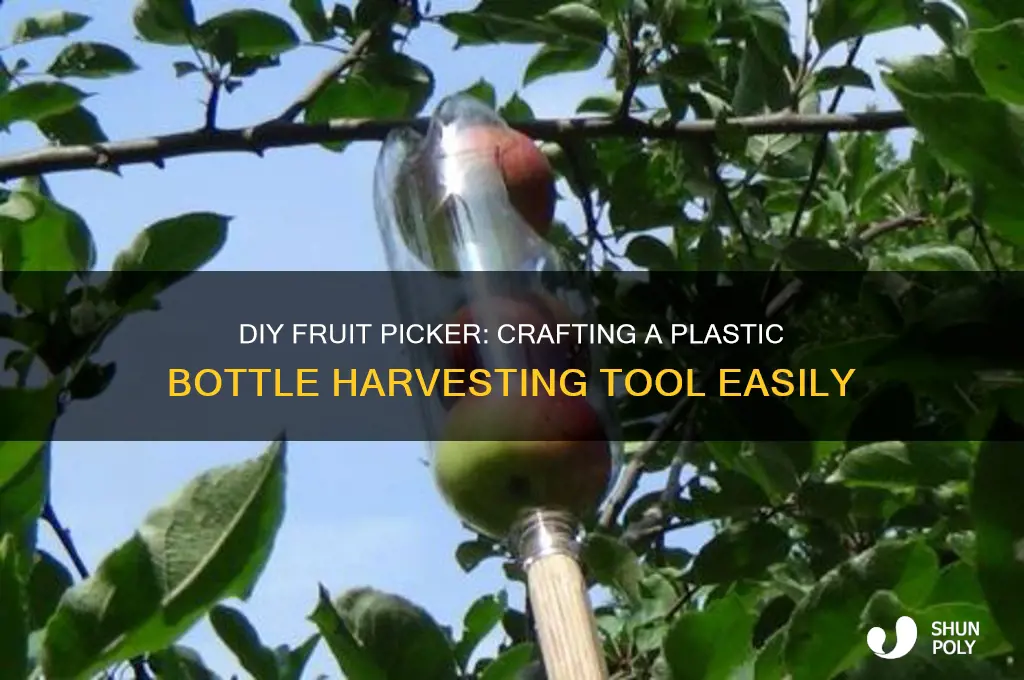 how to make a fruit picker from a plastic bottle