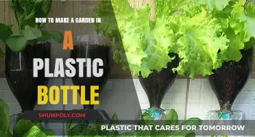 Eco-Friendly Gardening: Create a Mini Garden in a Plastic Bottle