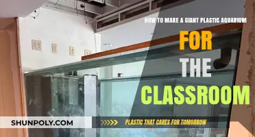DIY Giant Plastic Aquarium: A Classroom Project Guide