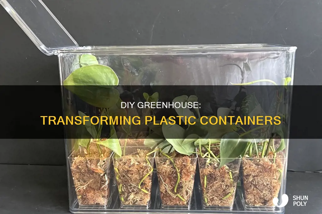 how to make a greenhouse from a plastic container