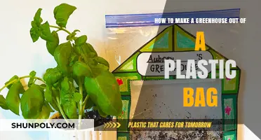DIY Greenhouse: Transforming Plastic Bags into Eco-Friendly Plant Havens