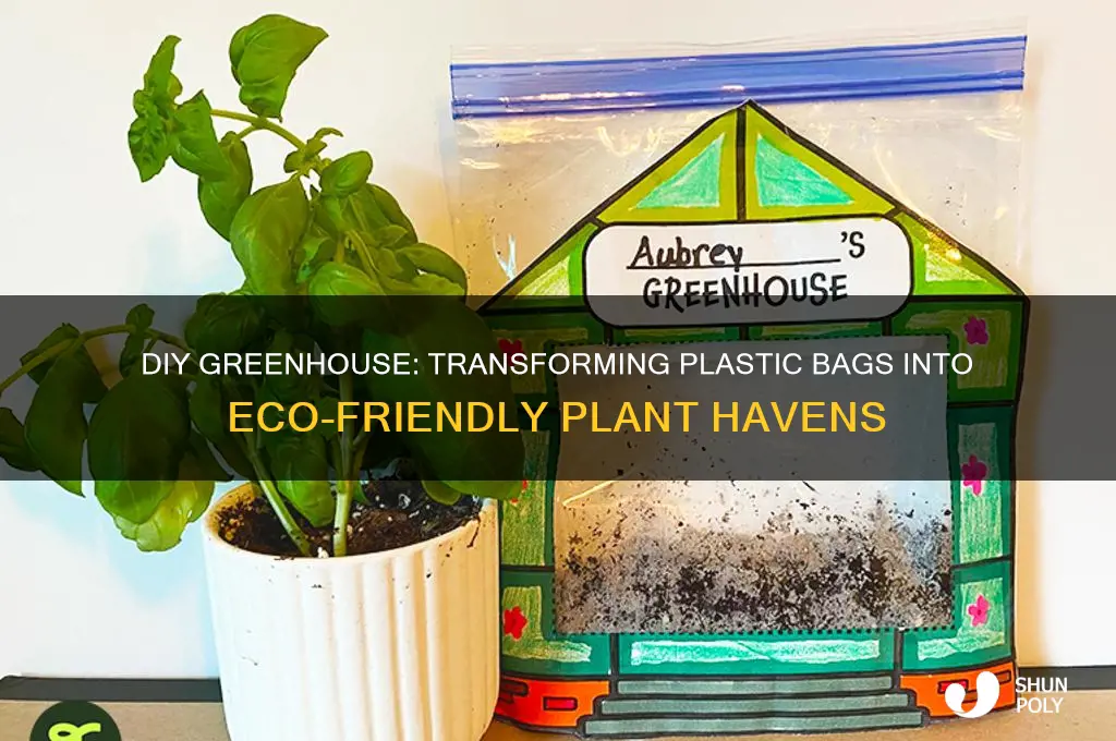 how to make a greenhouse out of a plastic bag