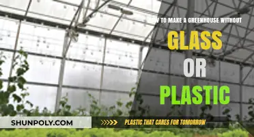 Eco-Friendly Greenhouse Building: Alternative Materials for Sustainable Gardening