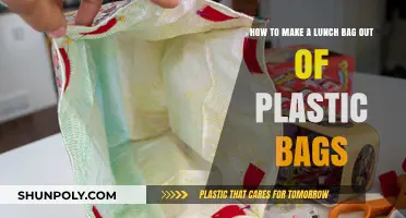 Eco-Friendly DIY: Crafting a Reusable Lunch Bag from Plastic Bags