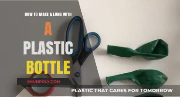 DIY Lung Model: Crafting a Plastic Bottle Lung Step-by-Step