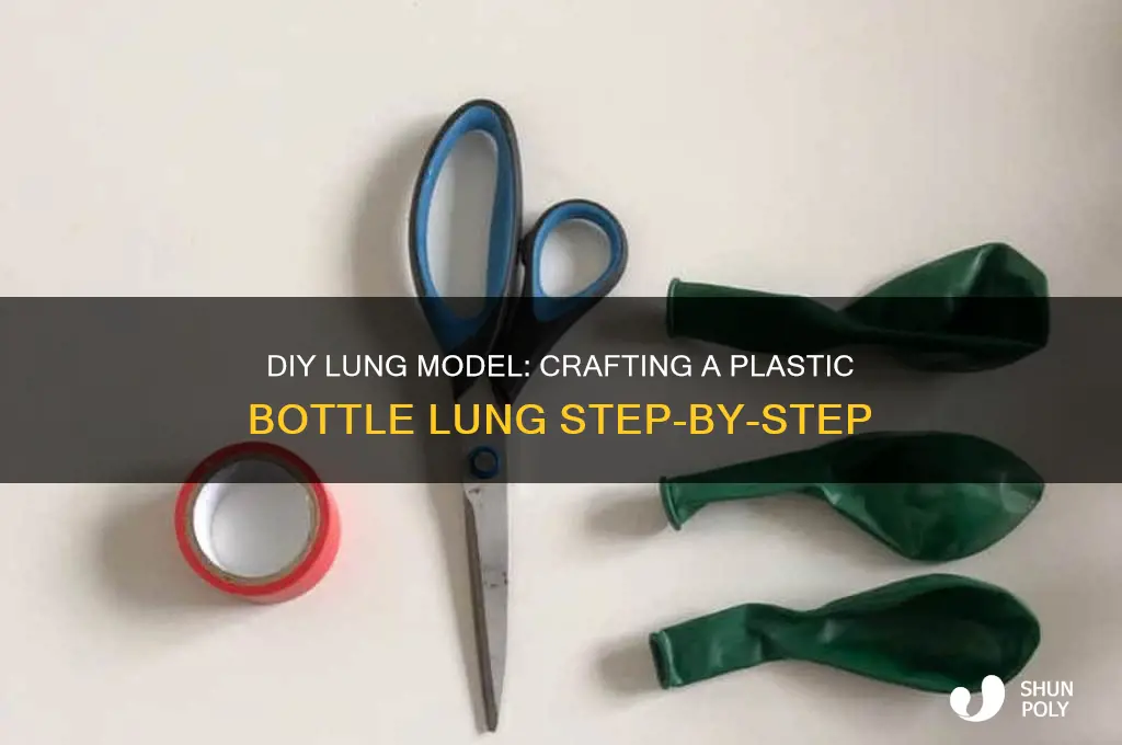 how to make a lung with a plastic bottle