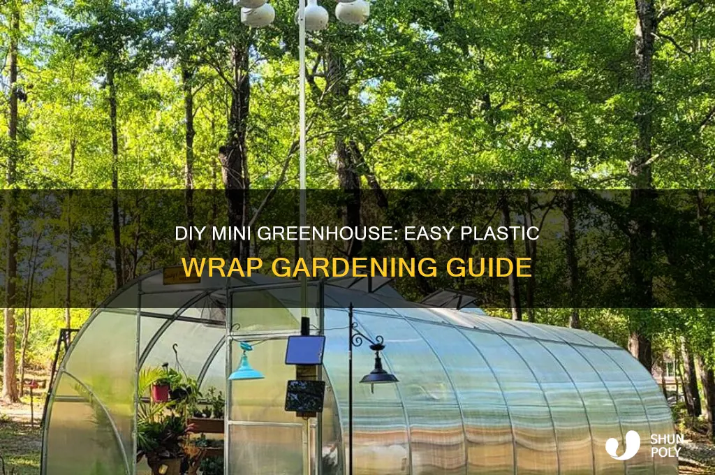 how to make a mini greenhouse with plastic wrap