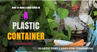 Creating a Mini River Ecosystem in a Container