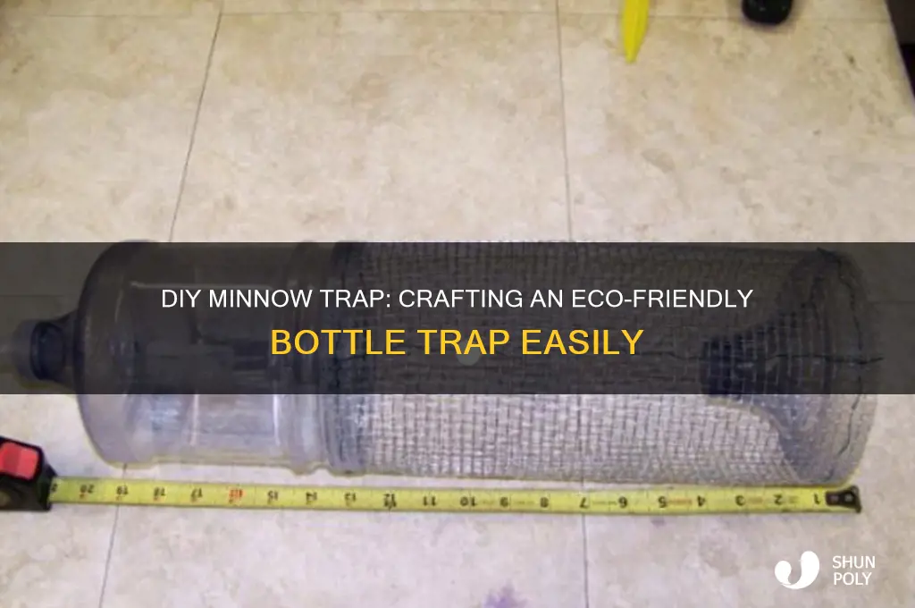 how to make a minnow trap out of plastic bottles