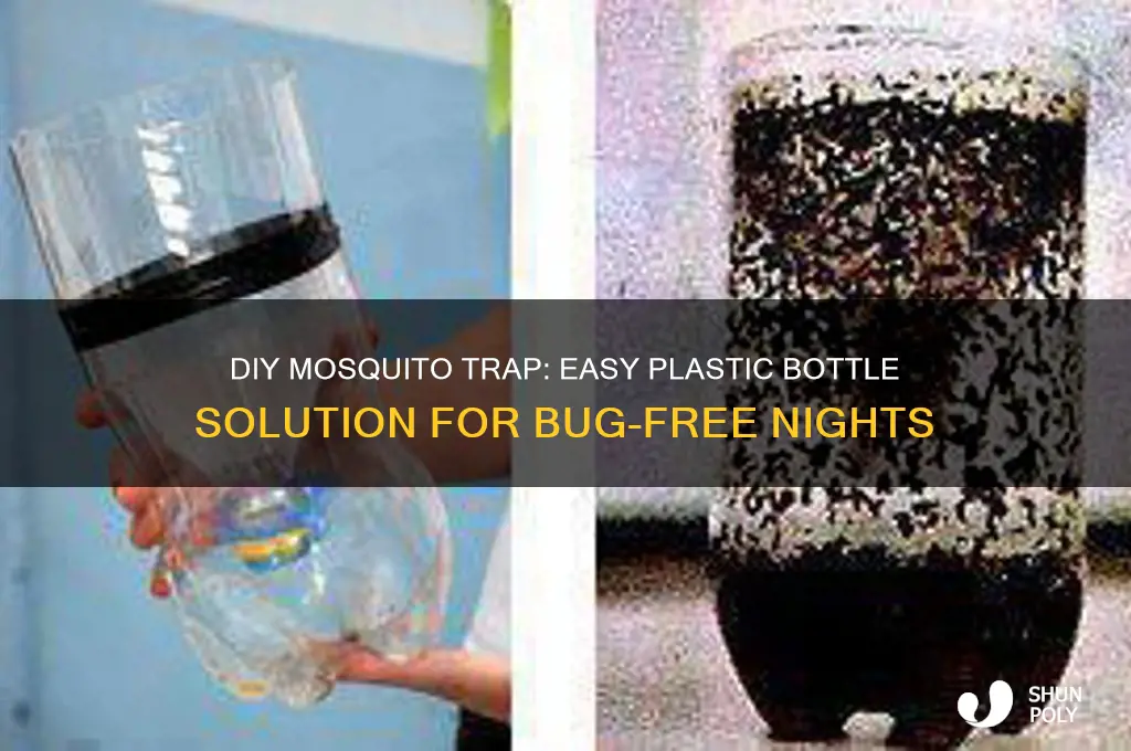 how to make a mosquito trap with a plastic bottle