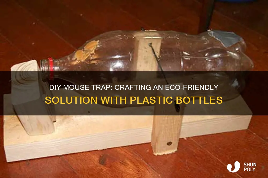 how to make a mouse trap plastic bottle