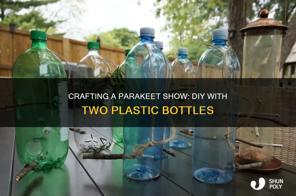 how to make a paraqueet show from two plastic bottles