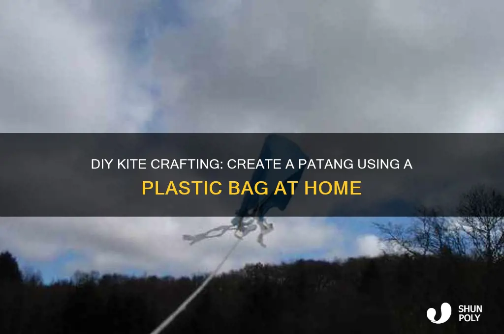 how to make a patang at home with plastic bag