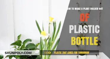 Creative DIY: Transforming Plastic Bottles into Stylish Plant Holders