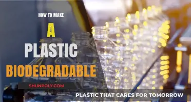 Eco-Friendly Solutions: Making Plastic Biodegradable for a Greener Future