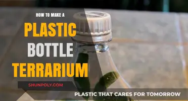 Create a Mini Ecosystem: DIY Plastic Bottle Terrarium Guide