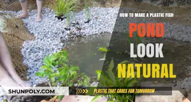 Transforming Plastic Ponds: Natural Design Tips for a Realistic Look