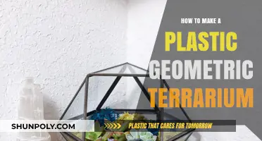 Crafting a Stunning Plastic Geometric Terrarium: Step-by-Step Guide